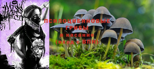 гидропоника Красноперекопск