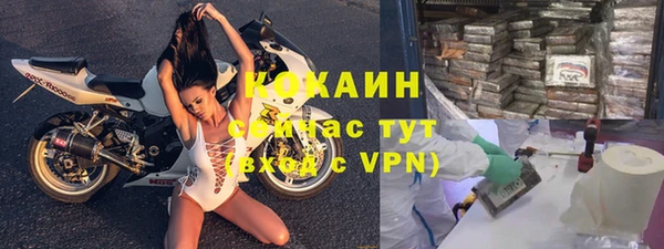 сатива Козловка