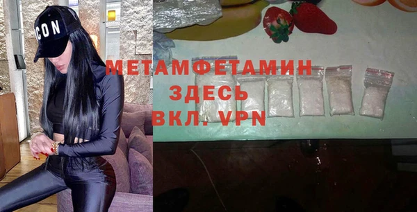сатива Козловка