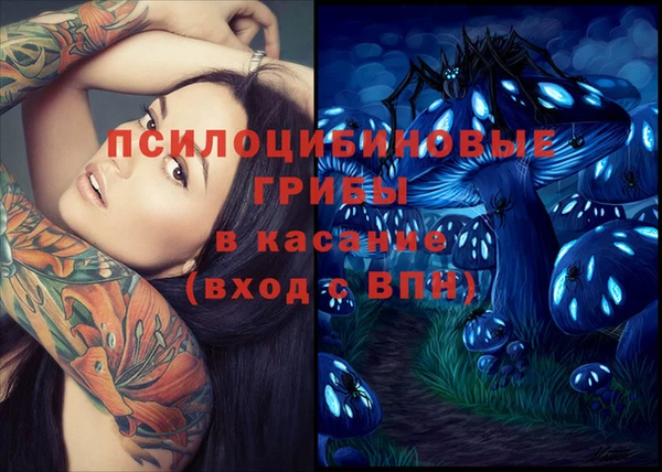 мдпв Покровск