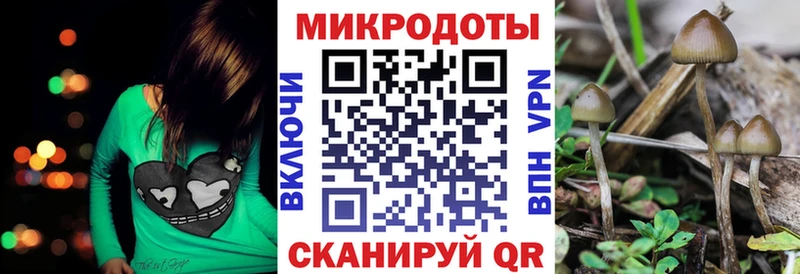 Псилоцибиновые грибы прущие грибы  блэк спрут сайт  Михайловка  хочу наркоту 
